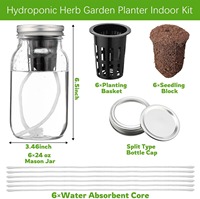 Kit de Jardinage Hydroponique OEM 6 Pièces Écologique au Design Adorable avec Pots en Filet pour Jardinage Intérieur à Domicile