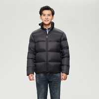 Veste d'hiver matelassée sportive pour homme, coupe ajustée, haut de gamme, 90% duvet de canard blanc, col montant, fabriquée par le fabricant