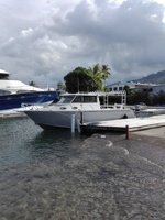 Bateau de pêche de luxe à grande vitesse en aluminium de 9 m (30 pieds) avec cabine, bateau de pêche de loisir à vendre
