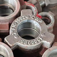 Unión de Martillo Roscada Forjada de 2 Pulgadas, Estándar API Figura 1502, 105Mpa, para Accesorios de Tubería