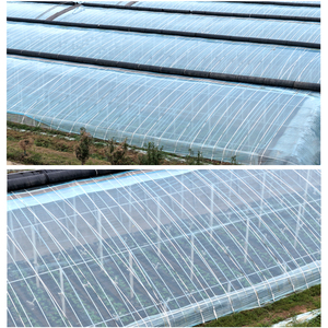 High-Technology LDPE UV-Resistant Agricultural Greenhouse Plastic Cover Film - Product Image 4
