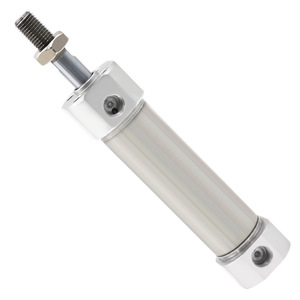 Mini Cilindro de Acero Inoxidable Mg20 25 32 40 50 63 X 25 50 75 100 125 150, Piezas Neumáticas de Doble Acción - Product Image 1