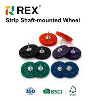 Disque abrasif REX avec mandrin de 6 mm - Noir/Bleu/Violet/Vert/Orange - Prise en charge OEM pour le polissage