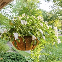 Offre Spéciale jardin Produits Suspendus Panier Avec Doublure pot De Noix De Coco Forme ronde Coco Paniers Suspendus