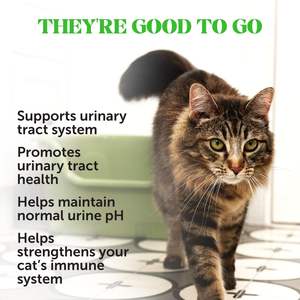 Golosinas Masticables Crujientes y Cremosas para la Salud del Tracto Urinario de Gatos OEM/ODM con Arándano, Digestión Saludable, Suplemento para el Soporte de Riñones y Vejiga - Product Image 2