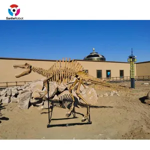 Fossile del dinosauro di scheletro del dinosauro di garanzia di qualità del museo SH-FF154 vivido