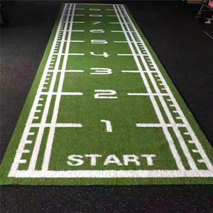 Tùy chỉnh mật độ cao phòng tập thể dục cỏ nhân tạo Mat với biểu tượng tùy chỉnh, mòn tập thể dục Turf - Product Image 1