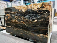 Dalle de granit de luxe en titane veiné noir et or