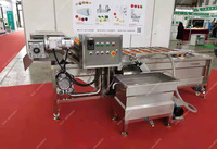 Machine à laver les fruits et légumes de type bulle | Ligne de lavage de type spray pour légumes | Machine à laver les pommes de type surf