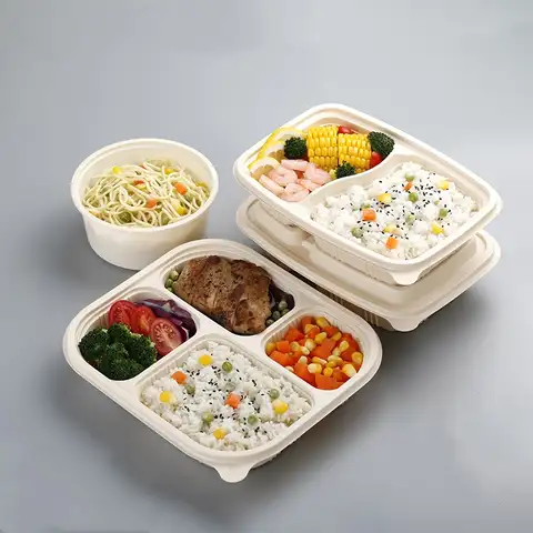 Other tableware boxes cup trays biodegradable packaging bio degradable food container
