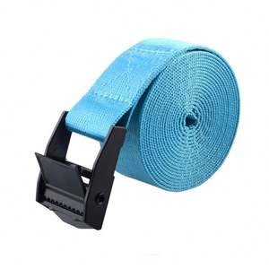 Ladungsriemenband 1 Zoll Cam-Schnalle endlos - Product Image 2