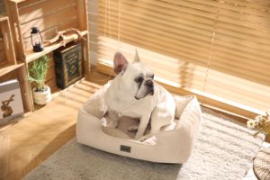 <span class=keywords><strong>Cama</strong></span> Ortopédica para Perros, Lavable, de Felpa, Antideslizante y con Soporte, para Perros Pequeños, Medianos y Grandes, y Gatos - Product Image 5