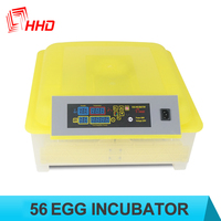 Incubateur automatique à double alimentation, contrôle automatique de la température, incubateur à œufs entièrement automatique, 56 œufs