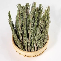 Herbe de romarin séchée naturelle, feuilles de romarin séchées de qualité supérieure pour la création d'encens DIY, l'aromathérapie et l'artisanat