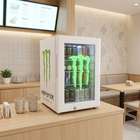 Réfrigérateur portable promotionnel personnalisé pour mini-restaurant, vitrine réfrigérée avec éclairage LED du logo et porte en verre, 21L