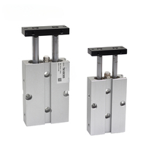 Cylindre pneumatique à double effet à deux tiges de type Airtac, avec aimant, TN10XS 16X20S X30S 32X40S X50S X60S, OEM, 3 ans de garantie, livraison gratuite