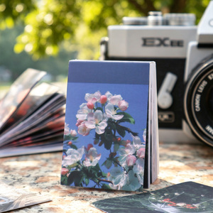 60 autocollants par paquet, série Song of Light and Shadow, embellissements pour scrapbooking <span class=keywords><strong>sur</strong></span> le thème des paysages - Product Image 2