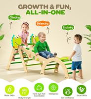 Mainan Panjat Segitiga 9-in-1 Montessori untuk Balita, Lipat, Kayu, Jungle Gym & Playground Indoor