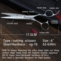 Beauté ciseaux à cheveux professionnel coiffeur ensemble de ciseaux sac argent personnalisé outils en acier PVC inoxydable Logo Style emballage pointu