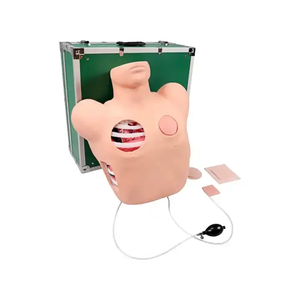Krankenschwestern-Dummy-Simulator für medizinisches Brust- (Rücken-)Punktionstrainingsmodell <span class=keywords><strong>Thorax</strong></span> Die Thoraxhöhle - Product Image 4