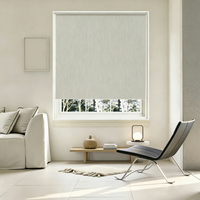 Rideaux électriques double couche sur mesure, stores à double rouleau pour la régulation de la lumière des fenêtres