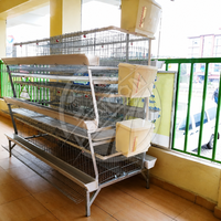 Nouvelle cage à poules pondeuses Agricon de type H, ferme avicole, alimentation et abreuvement automatiques, collecte des œufs, acier galvanisé à chaud, 96-160