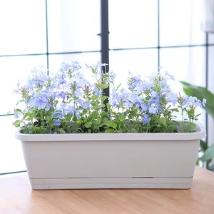 <span class=keywords><strong>Balcone</strong></span> giardino vaso per <span class=keywords><strong>piante</strong></span> <span class=keywords><strong>da</strong></span> <span class=keywords><strong>fiori</strong></span> scatola per finestre in resina fioriere per finestre rettangolari verdure contenitore per la coltivazione di <span class=keywords><strong>fiori</strong></span>