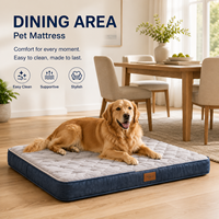 Matelas rafraîchissant en silicone pour animaux de compagnie, compact, confortable, surface douce, élégant, pour voyages et intérieur, idéal pour l'hiver