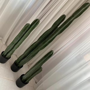 <span class=keywords><strong>Cactus</strong></span> Artificial para decoración interior y exterior, venta directa de fábrica - Product Image 6