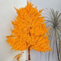 Vente chaude Conservé Feuille De Fougère Alpine Fougère Feuille Bouquet pour Vase Arrangement Décoration Compagnon Feuillage et Décor De Vacances