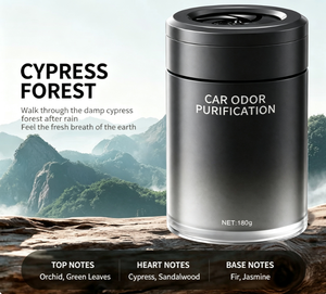 Désodorisant de voiture en plastique solide longue durée, parfum premium, sans électricité, design moderne pour l'habitacle automobile - Product Image 5