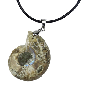 Collana con Ciondolo in Fossile di Conchiglia Naturale, <span class=keywords><strong>Gioielli</strong></span> in Cristallo per Donna e Uomo, Regalo all'Ingrosso - Product Image 4