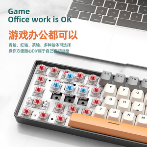 T8 108-Key Full Size RGB Backlit <b>Gaming</b> Mechanical Keyboard With USB Interface for Professional Gamers Mechanic Keyboard - Product Image 2