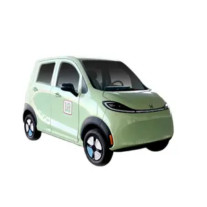2023 New EEC COC Certificate Eco-friendly Electric Car Mini Car