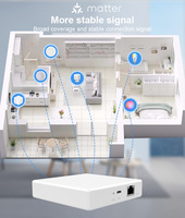 Passerelle Hub de Maison Intelligente Tuya Matter 2026 Thread Alexa Google Home Contrôle via l'application Smart Life Zigbee Wi-Fi THP10-Z-X