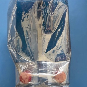 MKS Delta II Durchflussverhältnisregler 2000SCCM N2 Gas Edelstahl - Product Image 4