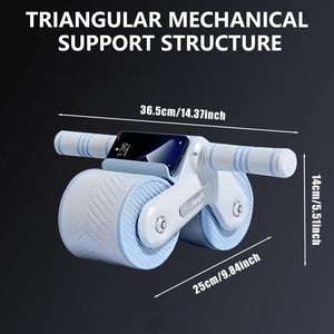 Tùy chỉnh màu sắc Nhà Phòng Tập Thể Dục Gia Đình ABS bánh xe phòng tập thể dục phục hồi cơ bắp yên tĩnh bụng bài tập con lăn - Product Image 2