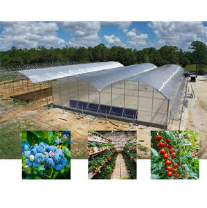 Grande Kit Estufa Jardim com Painel Policarbonato e Alumínio Moldura Verde Capa Material - Product Image 5