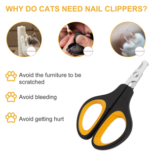Customized Non-Foldable Stainless Steel Pet Grooming <b>Scissors</b> for <b>Dogs</b> and Cats-Beauty Tool - Product Image 4