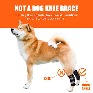 Soporte de Tobillo para Perros, Venda de Compresión para Patas Traseras, Protección para Heridas y Lesiones en las Patas Traseras, Soporte de Tobillo para Mascotas - Product Image 2