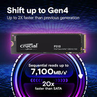 P310 1 To PCIe Gen4 NVMe 2280 M.2 SSD 6000 Mo/s et 7100 Mo/s Vitesse Disque dur SSD pour PC de jeu