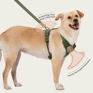 Fabricante de Coleiras para Cães, Novas Cores da Moda, Material de Tecido Sólido Acolchoado, Respirável e Ajustável, Coleira para Cães que Não Puxa - Product Image 2