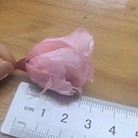 Têtes de roses séchées en gros, têtes de fleurs de roses préservées, éternelles, immortelles, véritables, naturelles, fleurs artificielles 1-2cm pour mariage et DIY