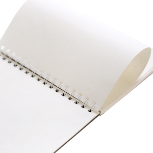 Tùy Chỉnh A4 Xoắn Ốc Ràng Buộc Sketchbook Với Tay Sơn Giấy Bìa Trống Vẽ Bút Chì Sơn Giấy - Product Image 5