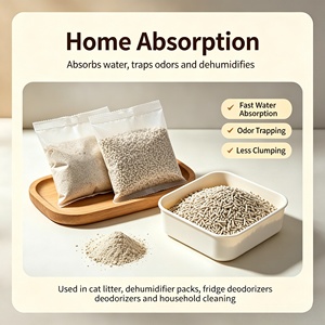 Poudre <span class=keywords><strong>de</strong></span> Diatomite pour l'absorption des déversements et le nettoyage des huiles, <span class=keywords><strong>Terre</strong></span> <span class=keywords><strong>de</strong></span> <span class=keywords><strong>Diatomée</strong></span> pour litière pour <span class=keywords><strong>chat</strong></span>, Désodorisant pour réfrigérateur, Haute Porosité - Product Image 2