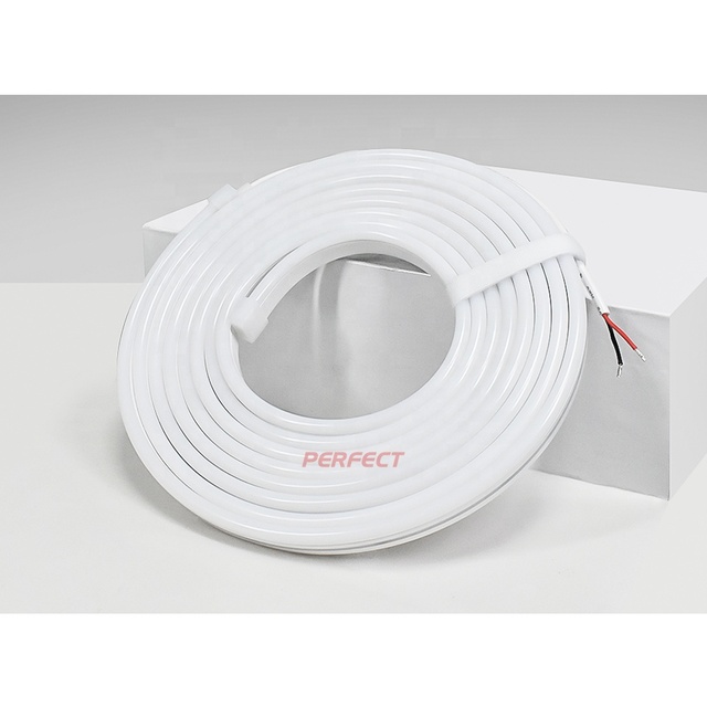 Perfect High Luminous Efficiency UL CE ROHS 100LM/W IP67 Waterproof Silicone Body Neon Lights for Swimming Pool Project