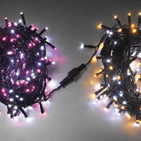 Nouvelle décoration de Noël Noël Led Light Outdoor Holiday Party Led Lights Christmas Light