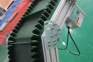 Bifa kemer paslanmaz L tarzı çelik konveyör eğimli somun sebze çanta gıda bitmiş ürün konveyör - Product Image 2