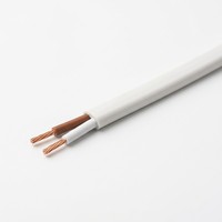 BVVB Doppeladerkabel 2 AWG 300V Flachkupferleiter PVC-Isoliert PVC-Ummantelung Elektrokabel IEC Hausinstallationskabel für den Haushalt