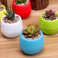 Pot Tanaman Plastik Mini untuk Dalam Ruangan, Pot Berkebun Putih dengan Drainase untuk Semua Tanaman Rumah, Bunga, Sukulen